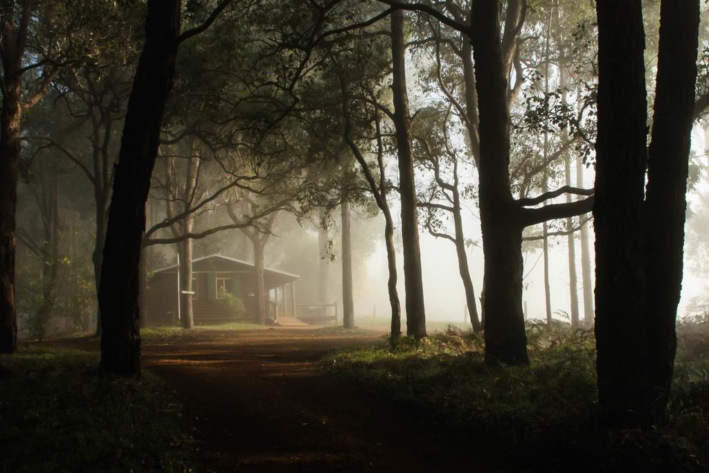Balingup Heights Hilltop Forest Cottages المظهر الخارجي الصورة