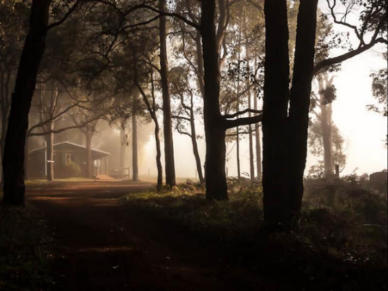 Balingup Heights Hilltop Forest Cottages المظهر الخارجي الصورة